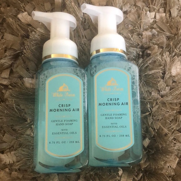 Bath & Body Works Other - 2 Bath & Body Works Crisp Morning Air Hand Soaps